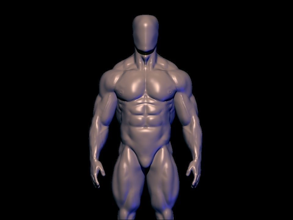 bodybuilder anatomy hipoly  3D model_2