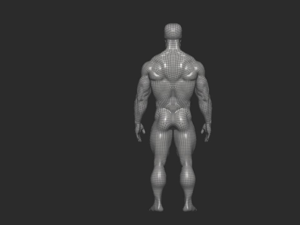 bodybuilder anatomy hipoly  3D model_8