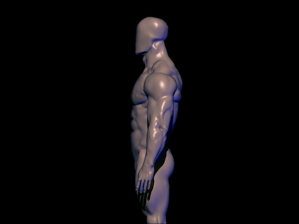bodybuilder anatomy hipoly  3D model_5