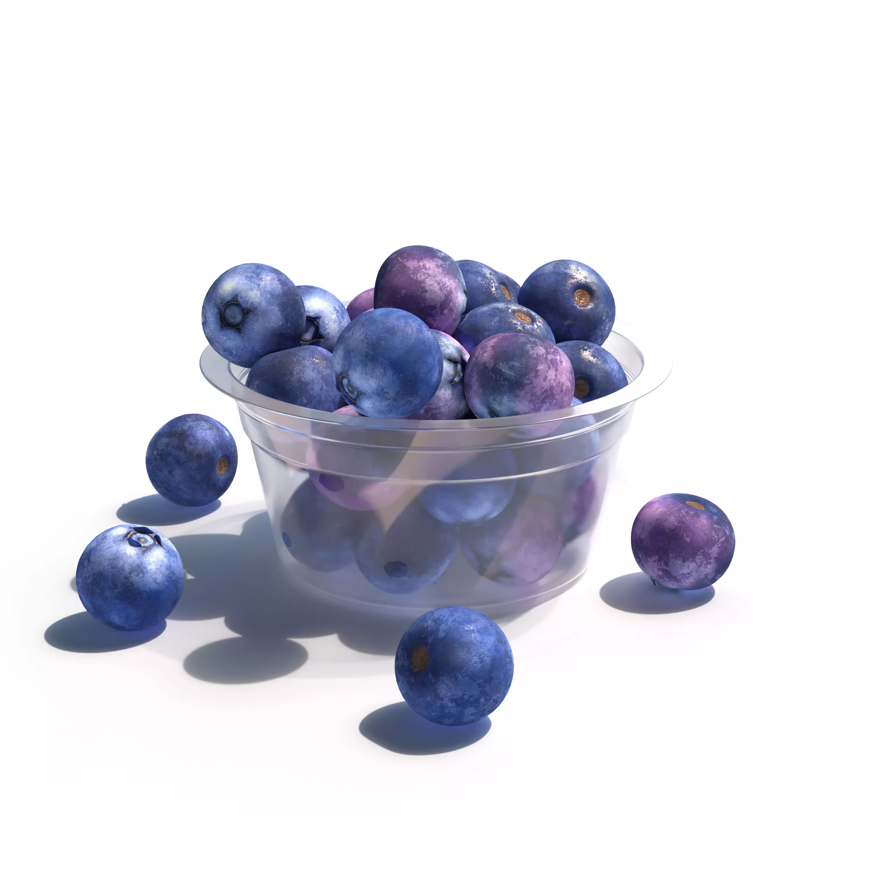 Blueberry 3D model_0