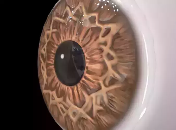 Eyeball artificial eye