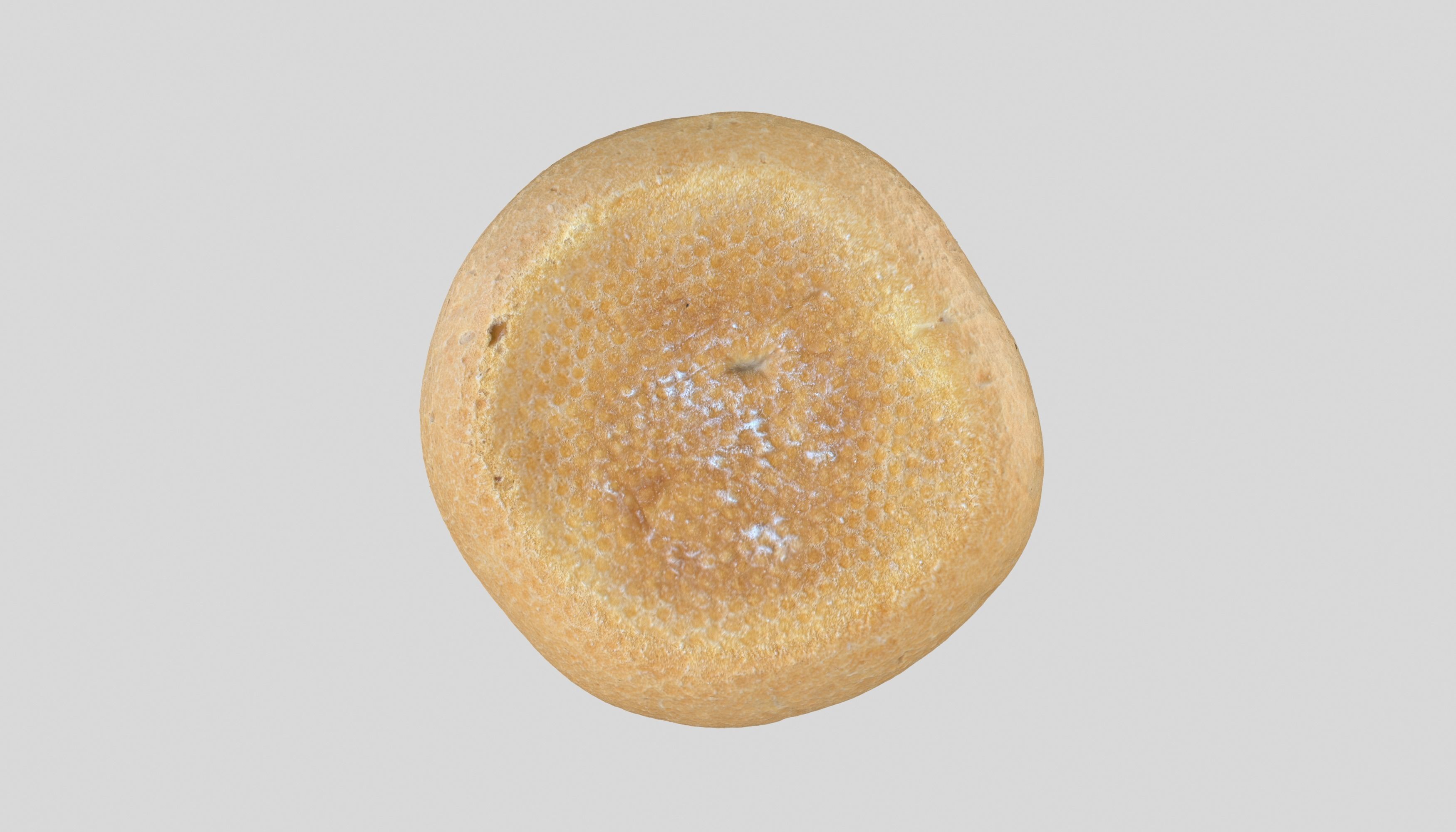 Bread Kaiser  3D Model Photoscan Low-poly 3D model_5