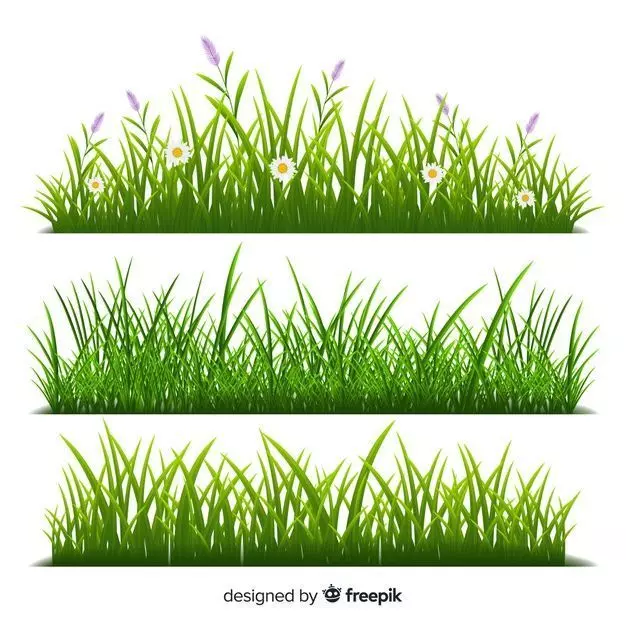 grass set of and flowers 3D print model