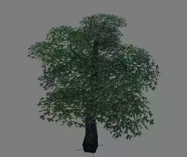 Model Arena - Variation grass flowers trees 03 01