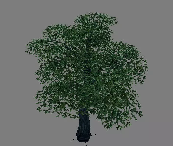 Model Arena - Variation grass flowers trees 03 01 3D model_0