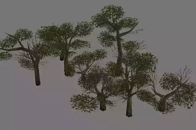 Model Arena - Variation grass flowers trees 06 01