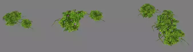 Game Model Arena - vines 01 01