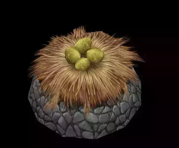 - wetland area - the fish eggs in the nest -01 01