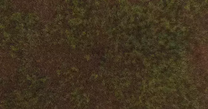 8k Realistic Grass Texture Texture