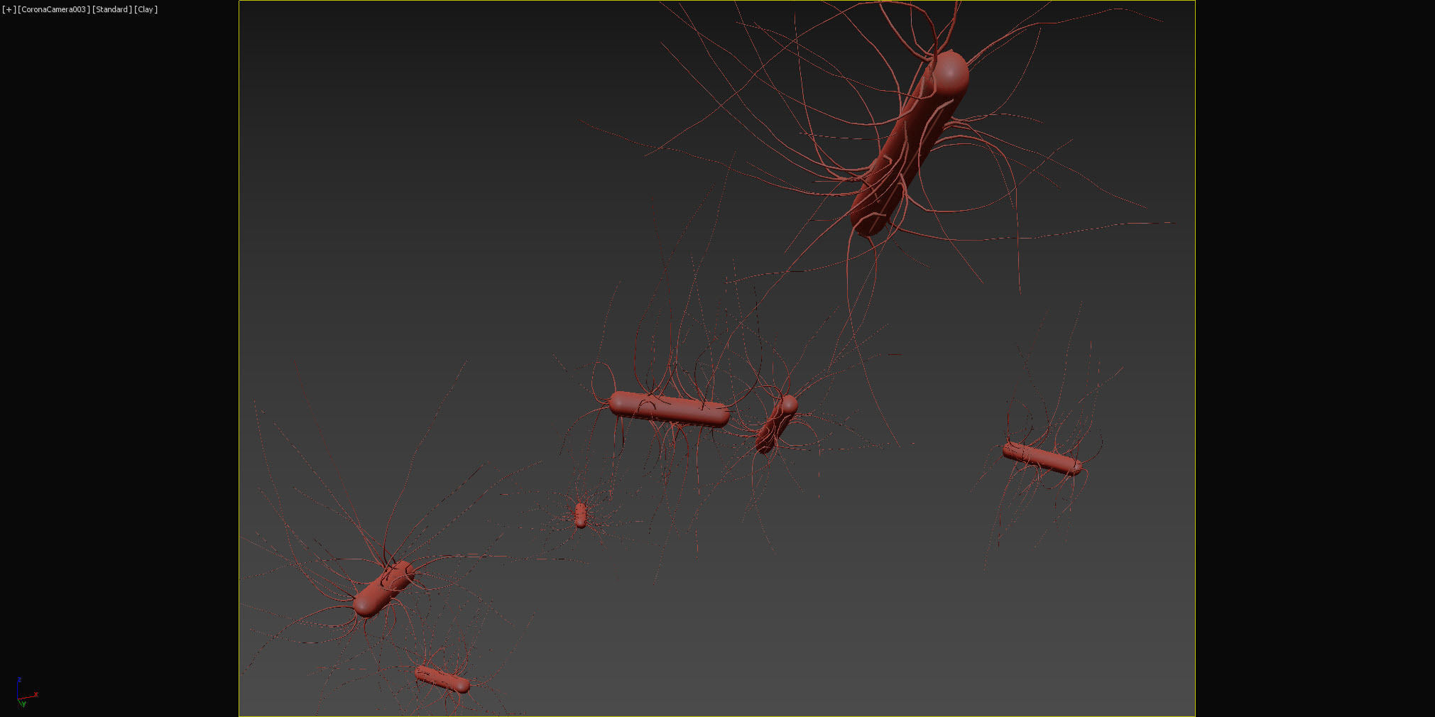 Escherichia coli Low-poly 3D model_6