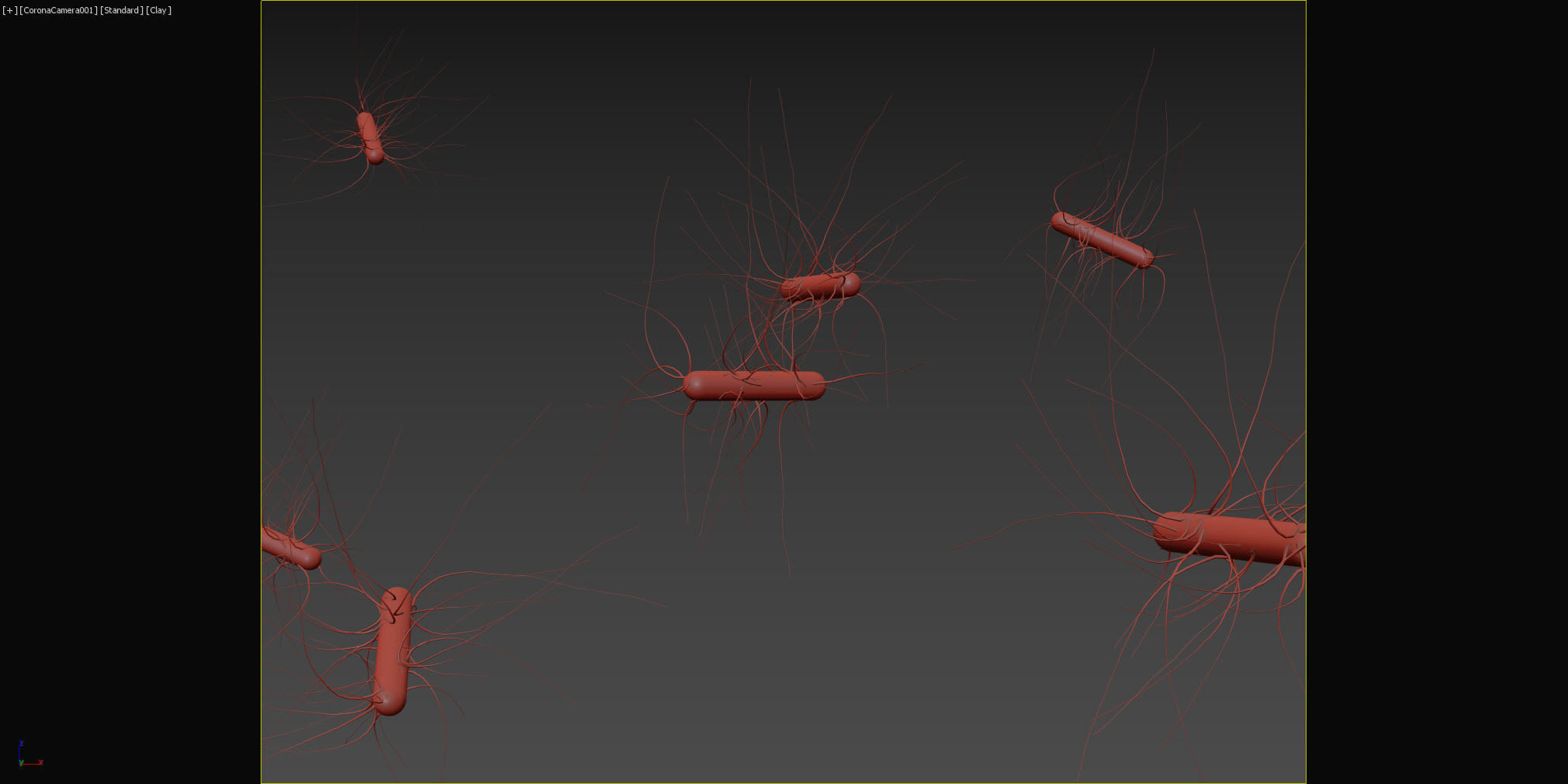 Escherichia coli Low-poly 3D model_4