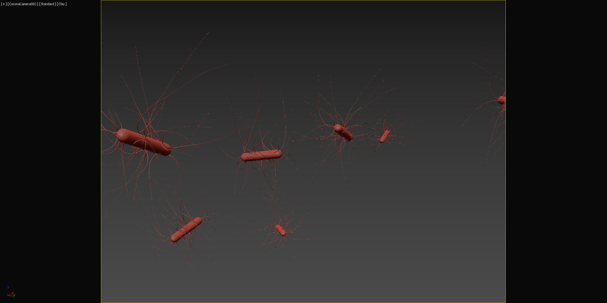 Escherichia coli Low-poly 3D model_5