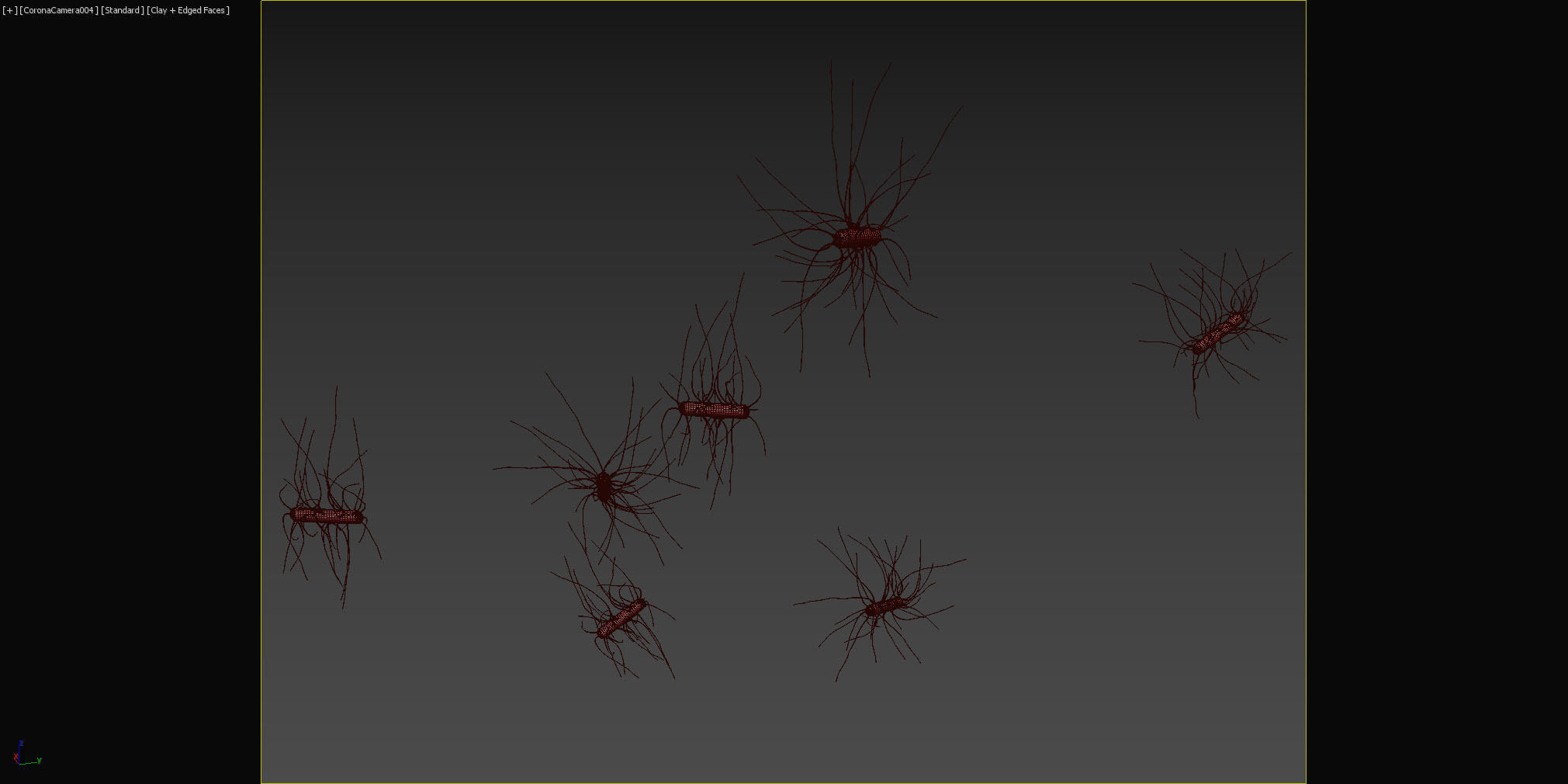 Escherichia coli Low-poly 3D model_8