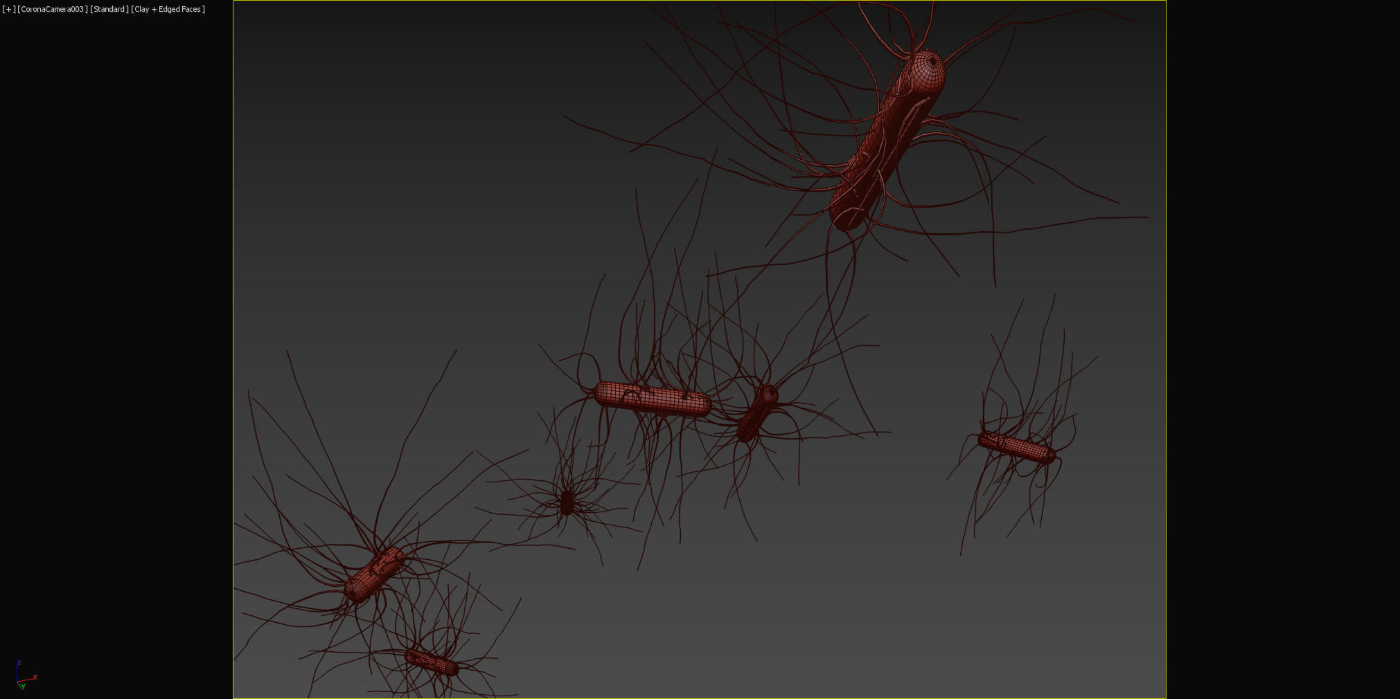 Escherichia coli Low-poly 3D model_7