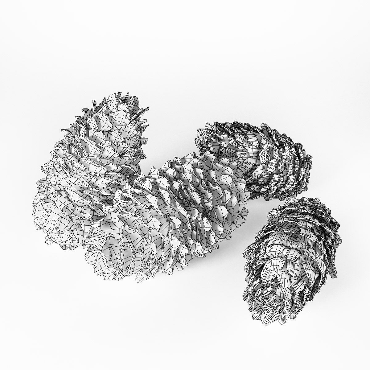Fir cones 3D model_2