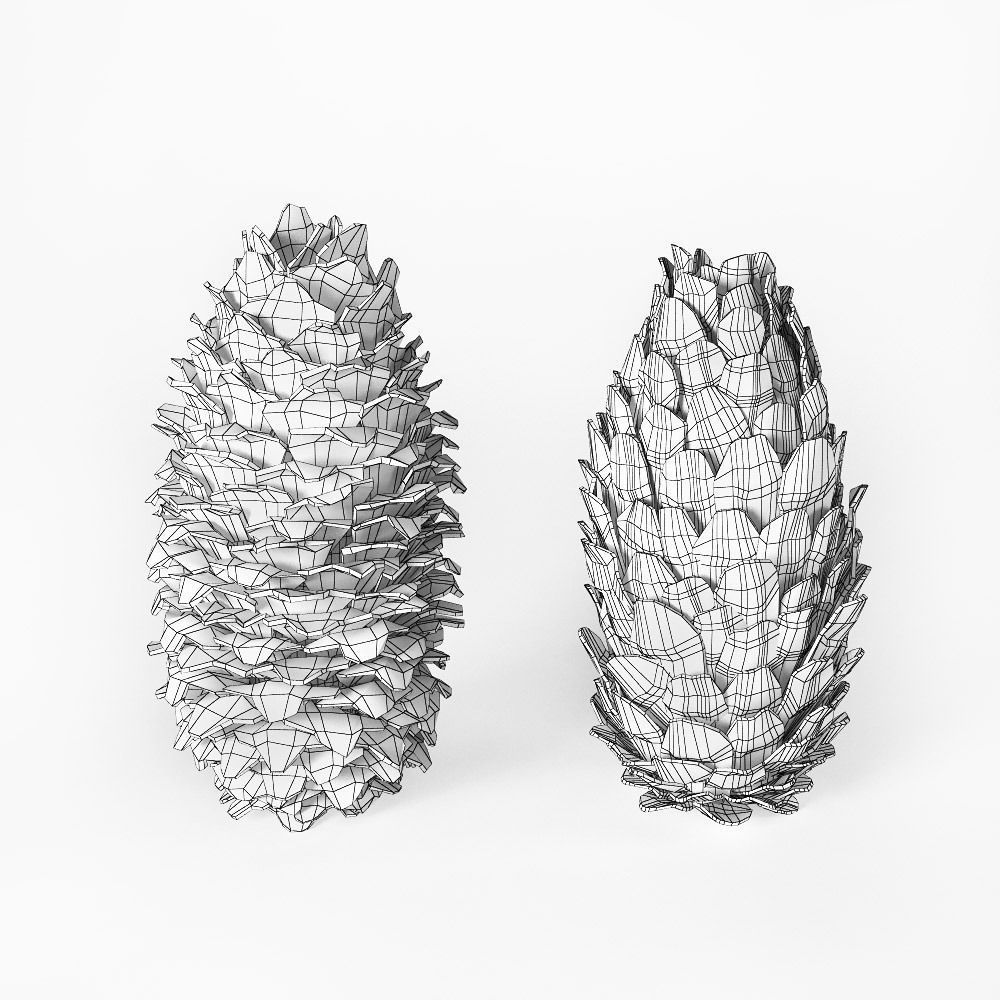 Fir cones 3D model_3