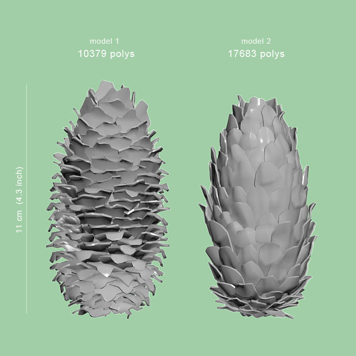 Fir cones 3D model_4