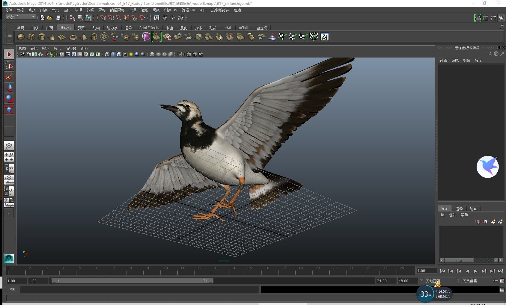 Sandpiper Ruddy Turnstone Bird Low-poly 3D model_18