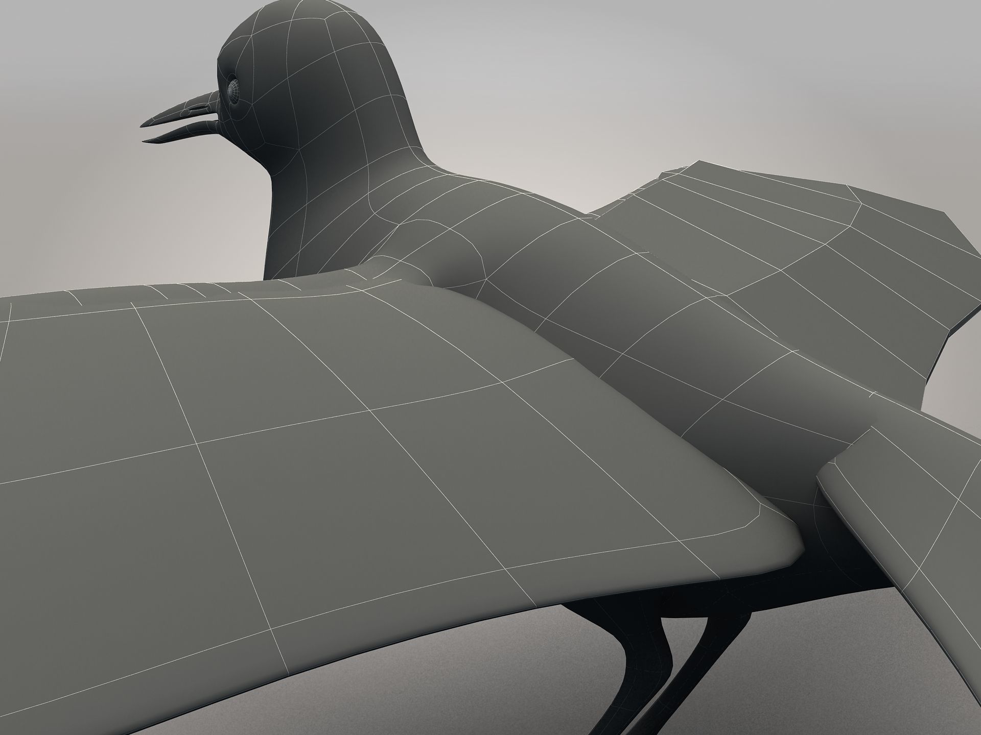 Sandpiper Ruddy Turnstone Bird Low-poly 3D model_12