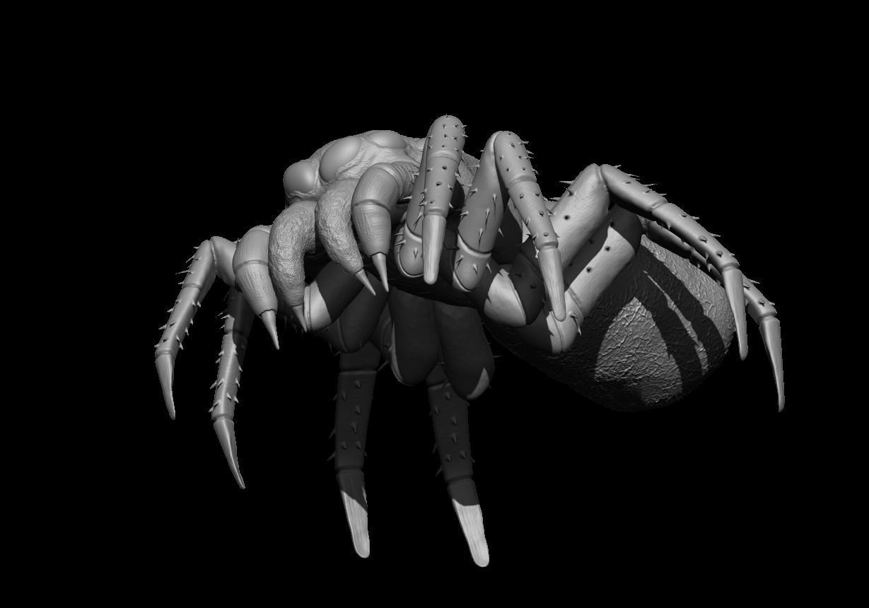 Spider 3D model_4