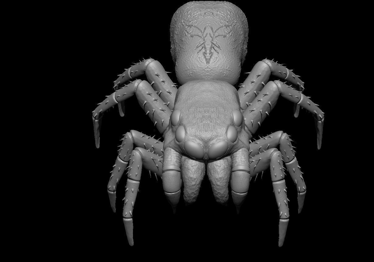 Spider 3D model_3