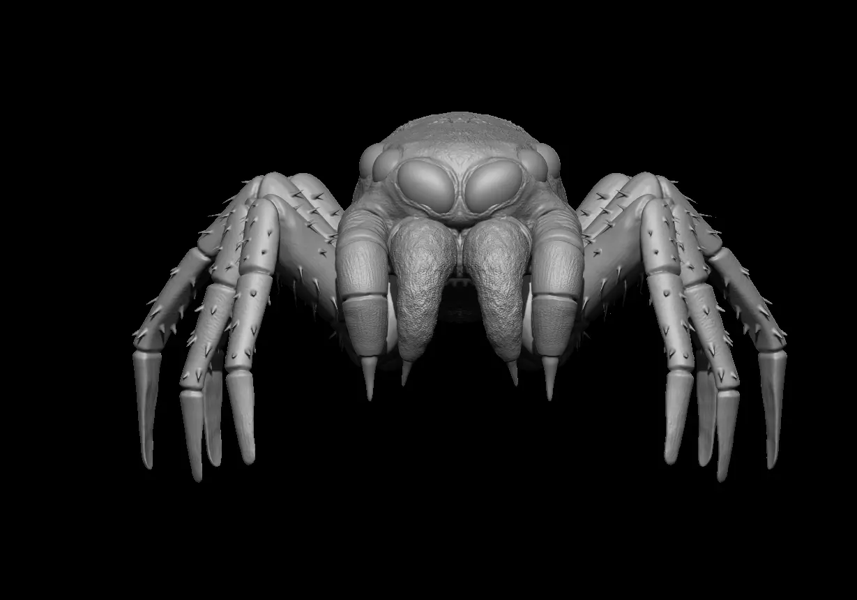 Spider 3D model_0