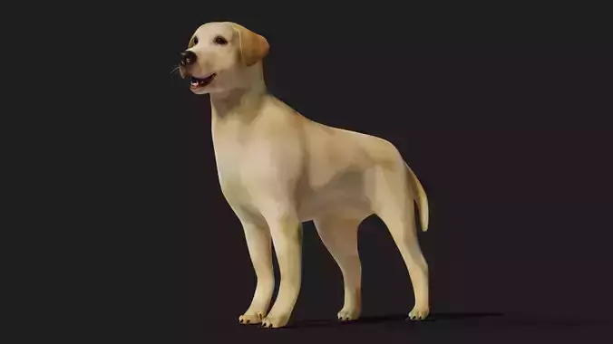 Labrador Dog Rigged with optional Fur 
