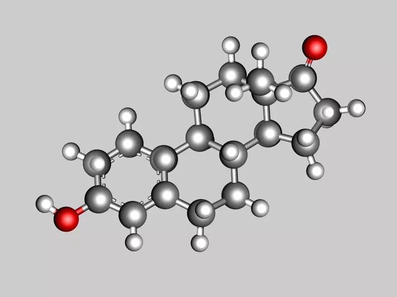 Estrone molecule 3D model_0