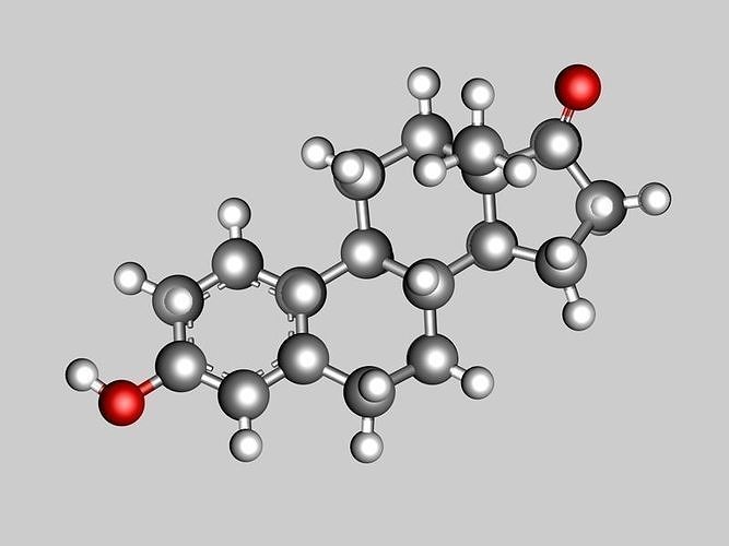 Estrone molecule 3D model