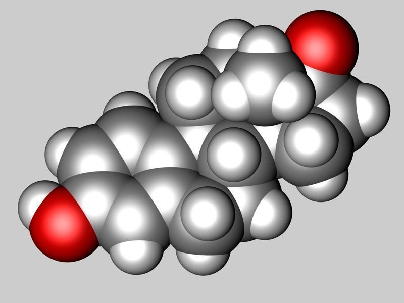 Estrone molecule 3D model_3