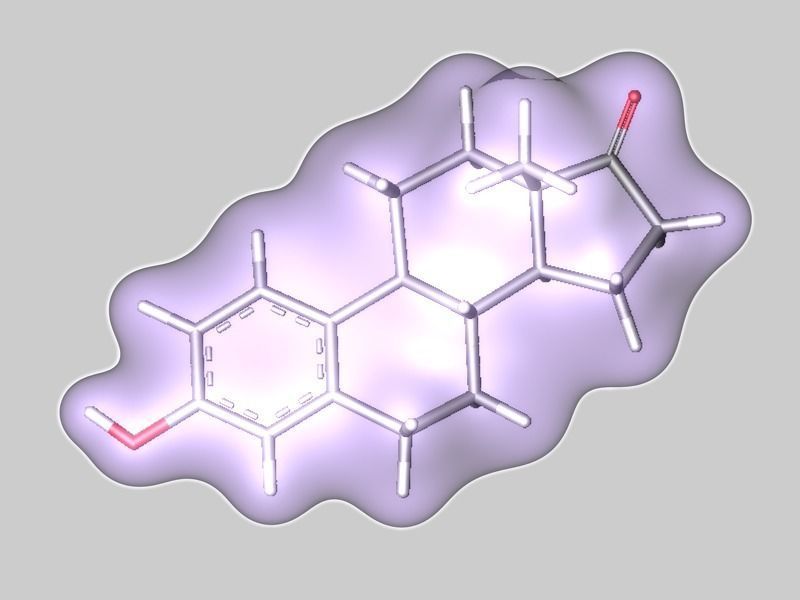 Estrone molecule 3D model_1