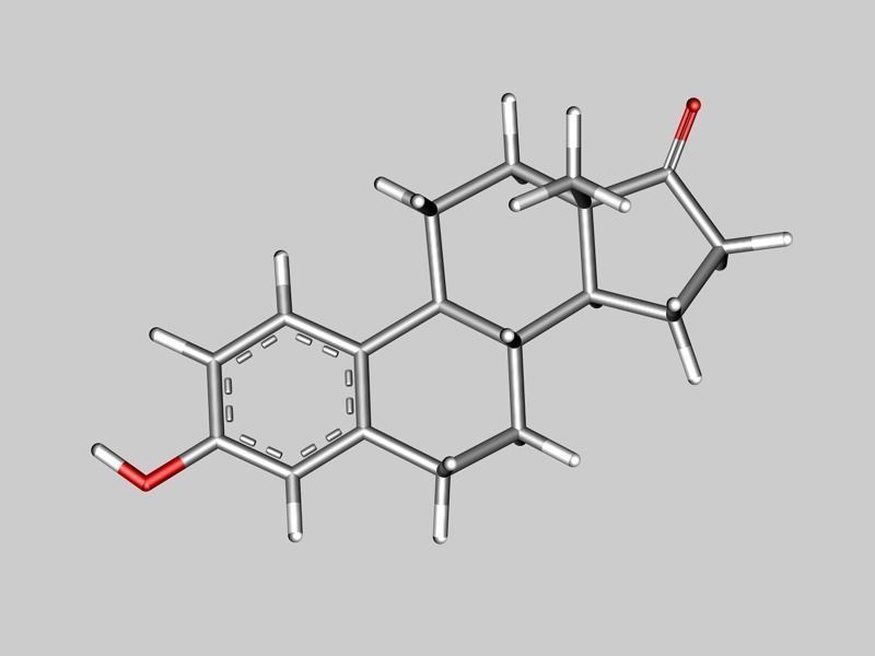Estrone molecule 3D model_2