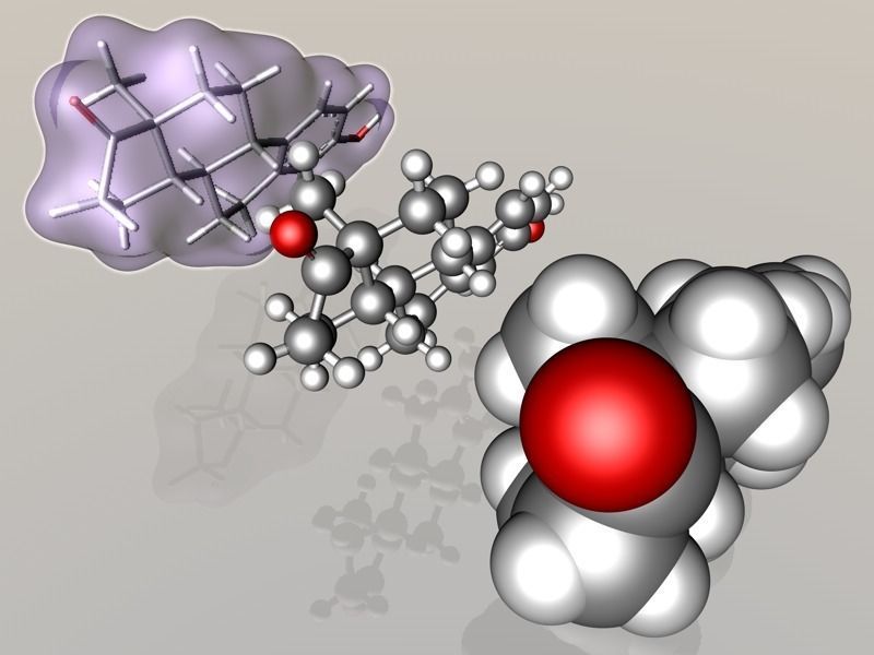 Estrone molecule 3D model_5