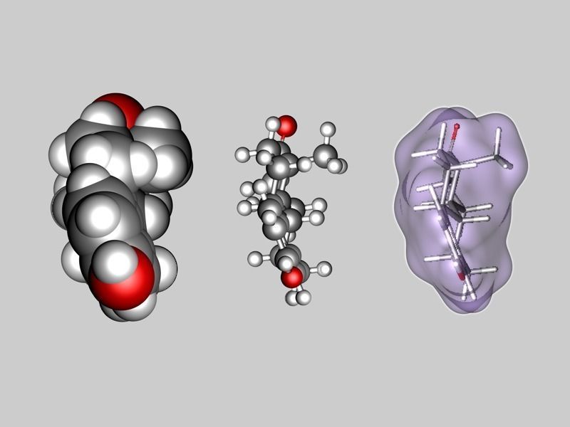 Estrone molecule 3D model_7
