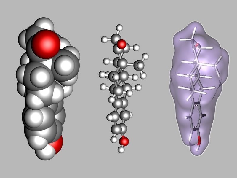 Estrone molecule 3D model_6