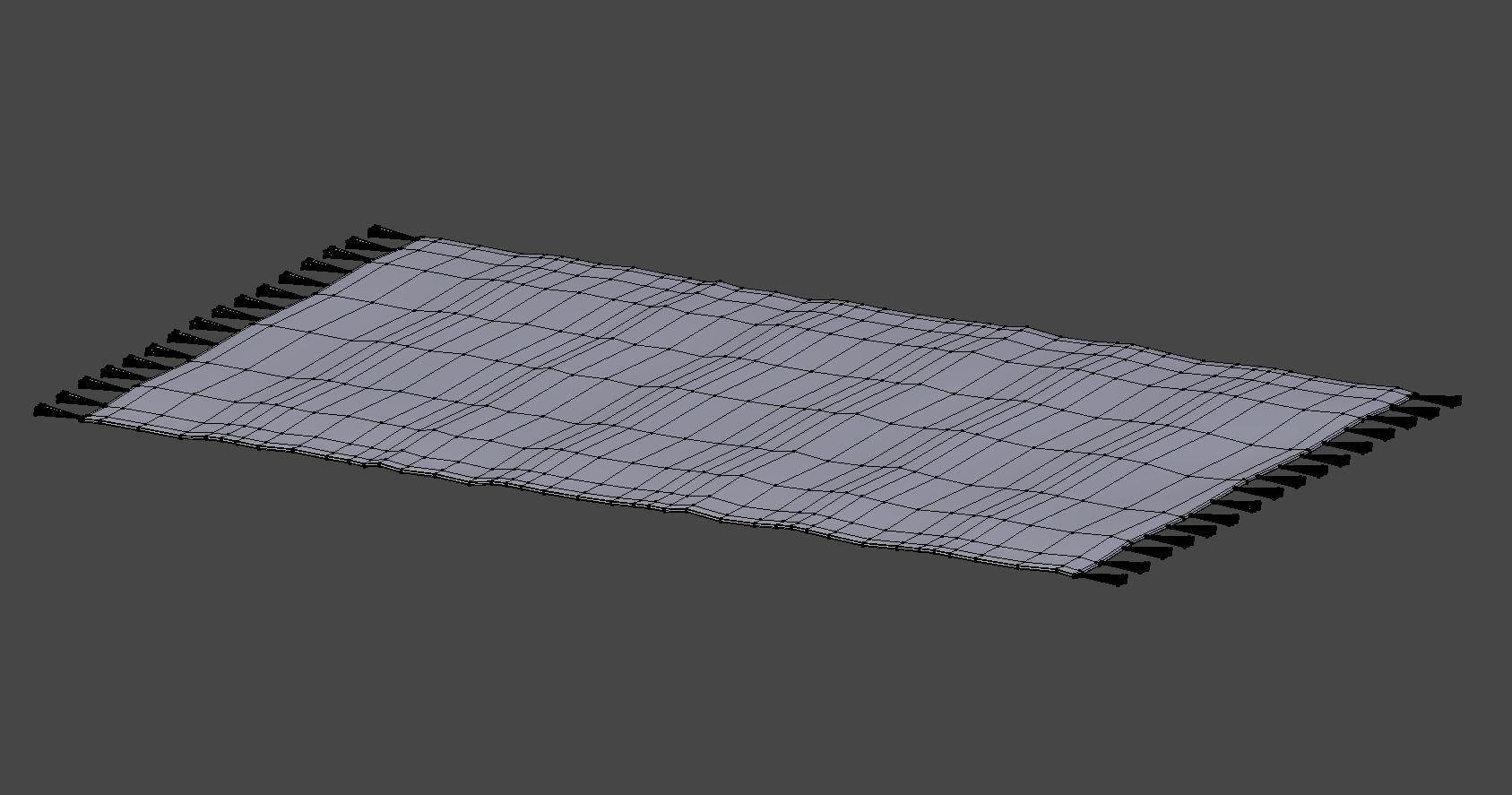 Rug with Fringe 3D model_6