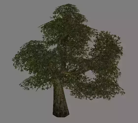 Model Arena game Jungle Area - Tree 01
