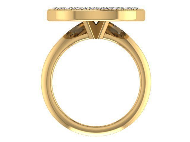 Big Flat Ring  3D print model_3