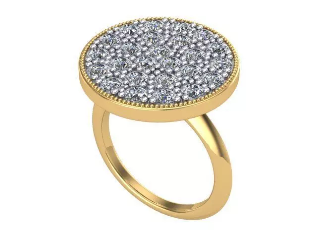 Big Flat Ring  3D print model_0