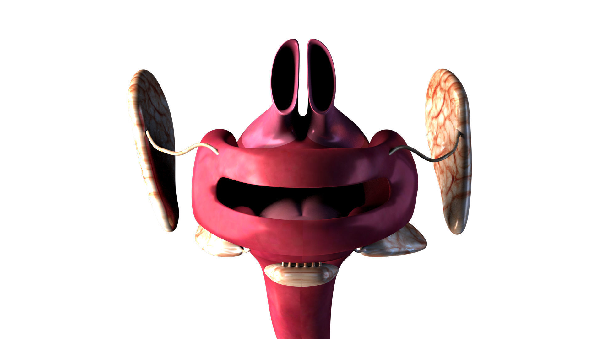 Digestive system 3D model_6