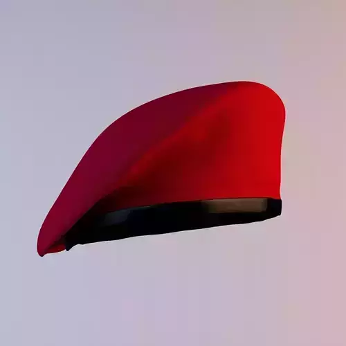 Beret Package 3D model