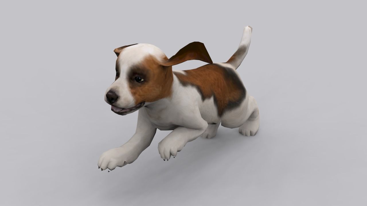 animated dog Low-poly 3D model_4