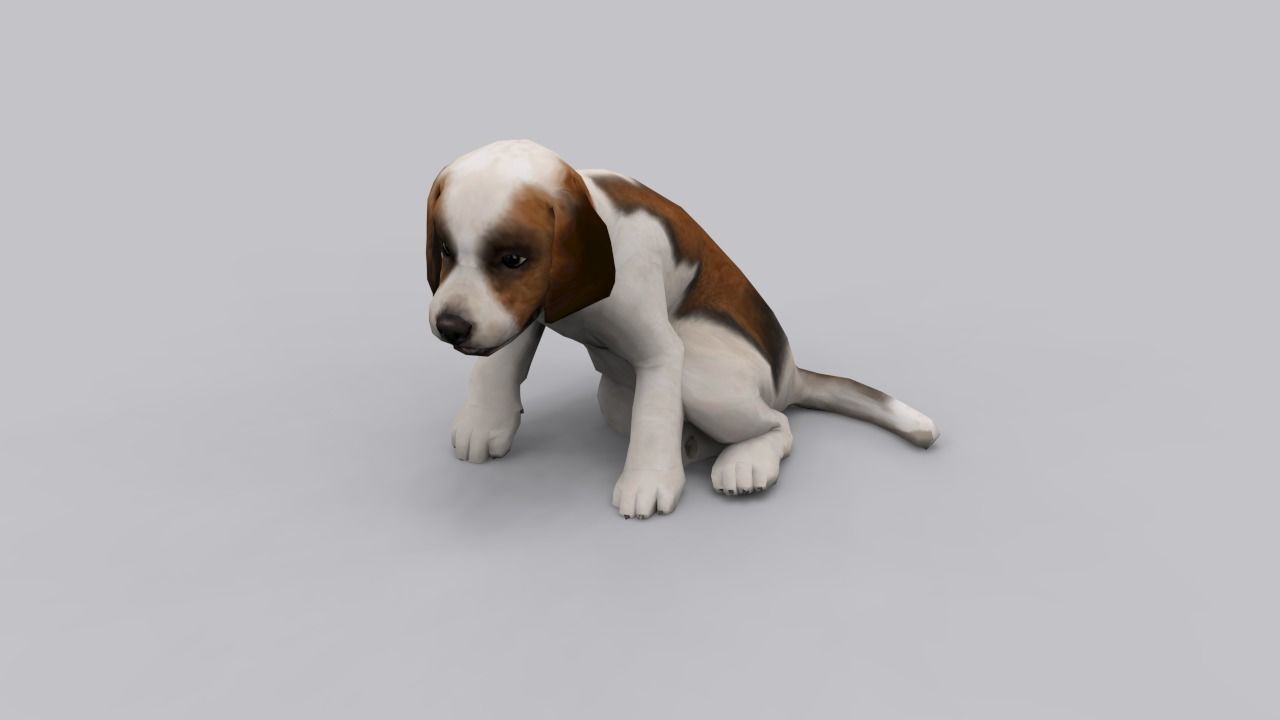 animated dog Low-poly 3D model_6