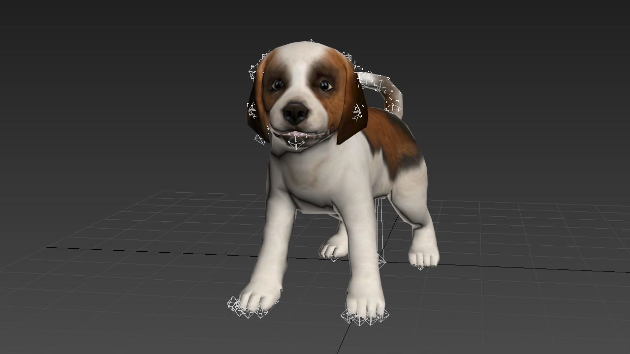 animated dog Low-poly 3D model_7