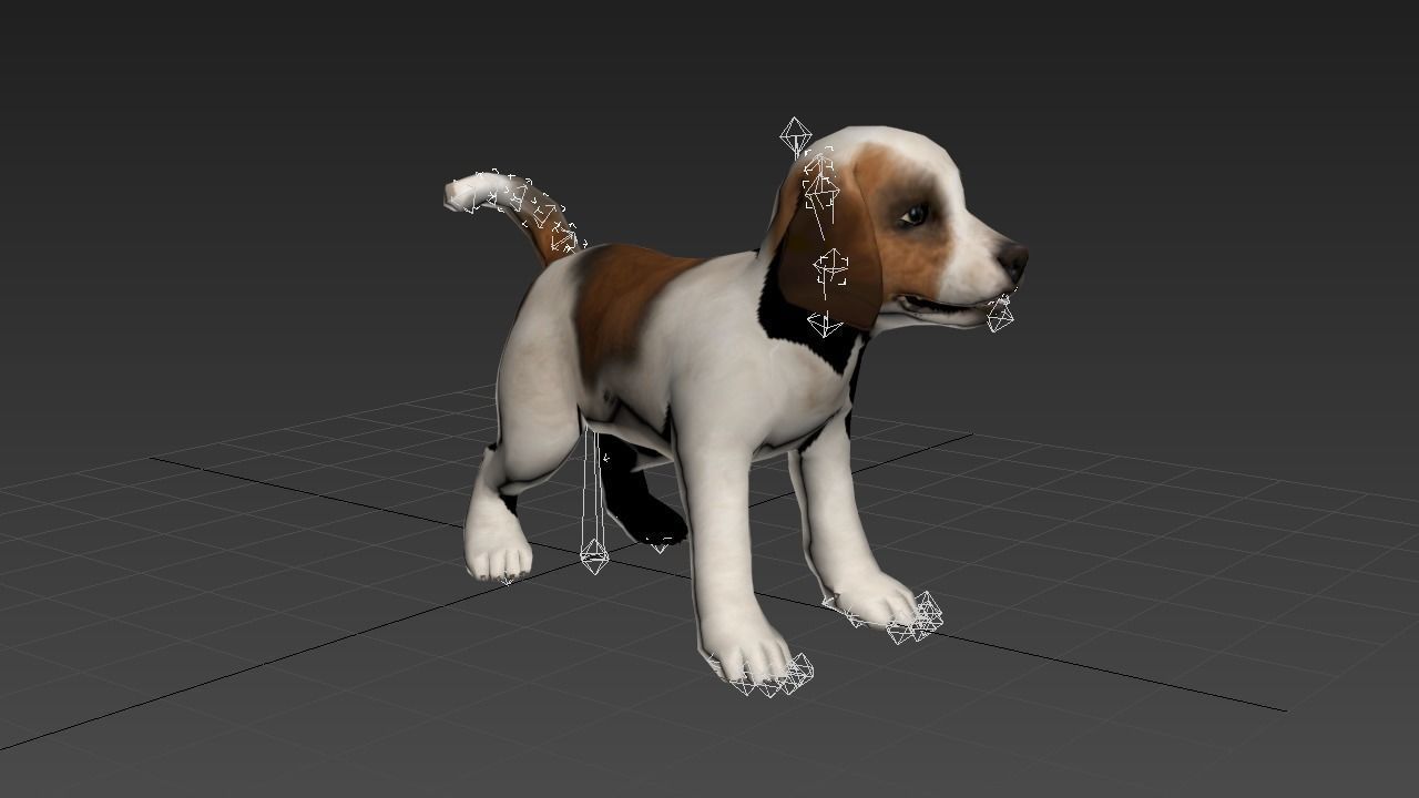 animated dog Low-poly 3D model_8
