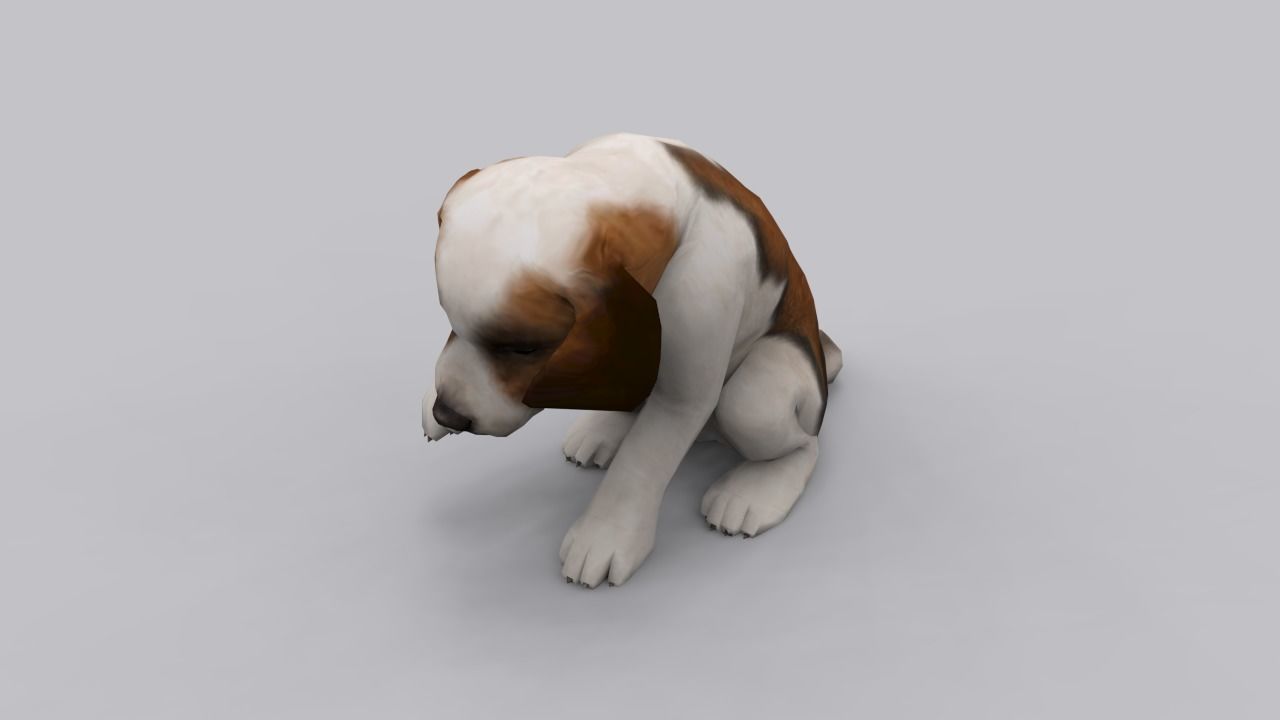 animated dog Low-poly 3D model_5
