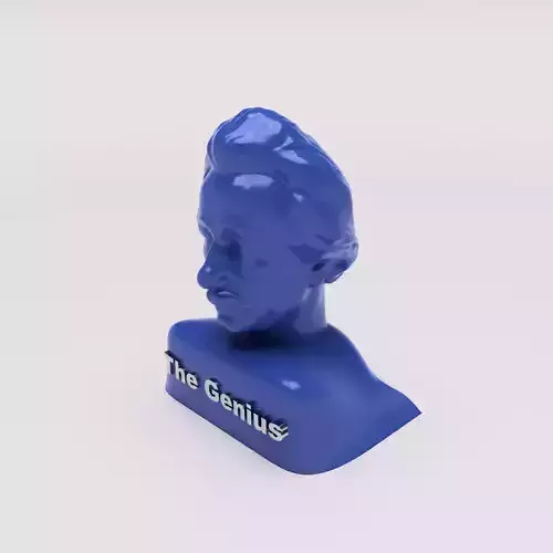 Albert Einstein The Genius 3D print model