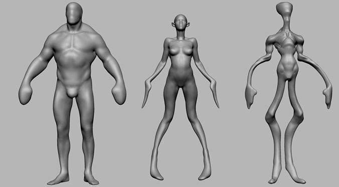Character Forms 3D model