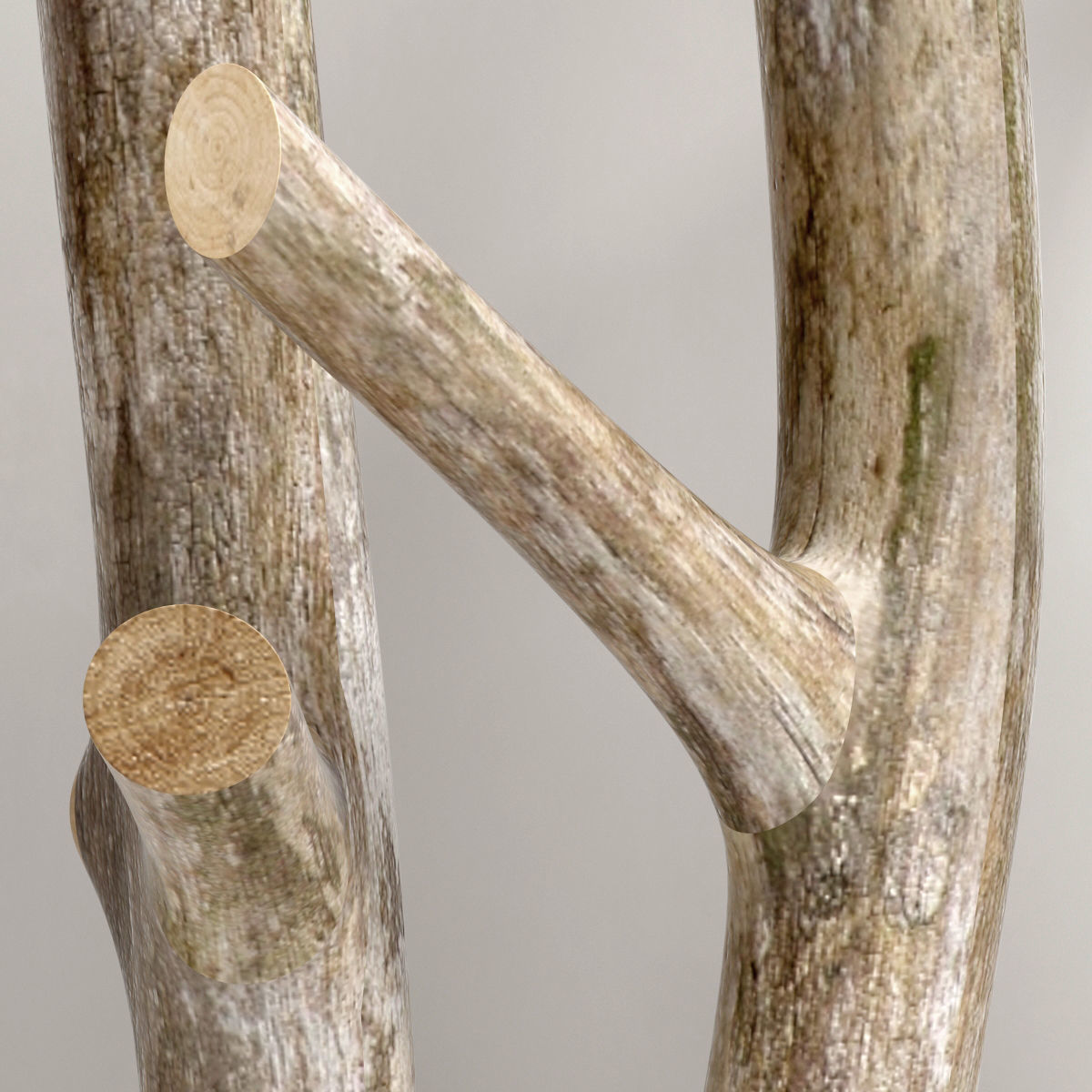 Planter thick sang branch crooked 3D model_8