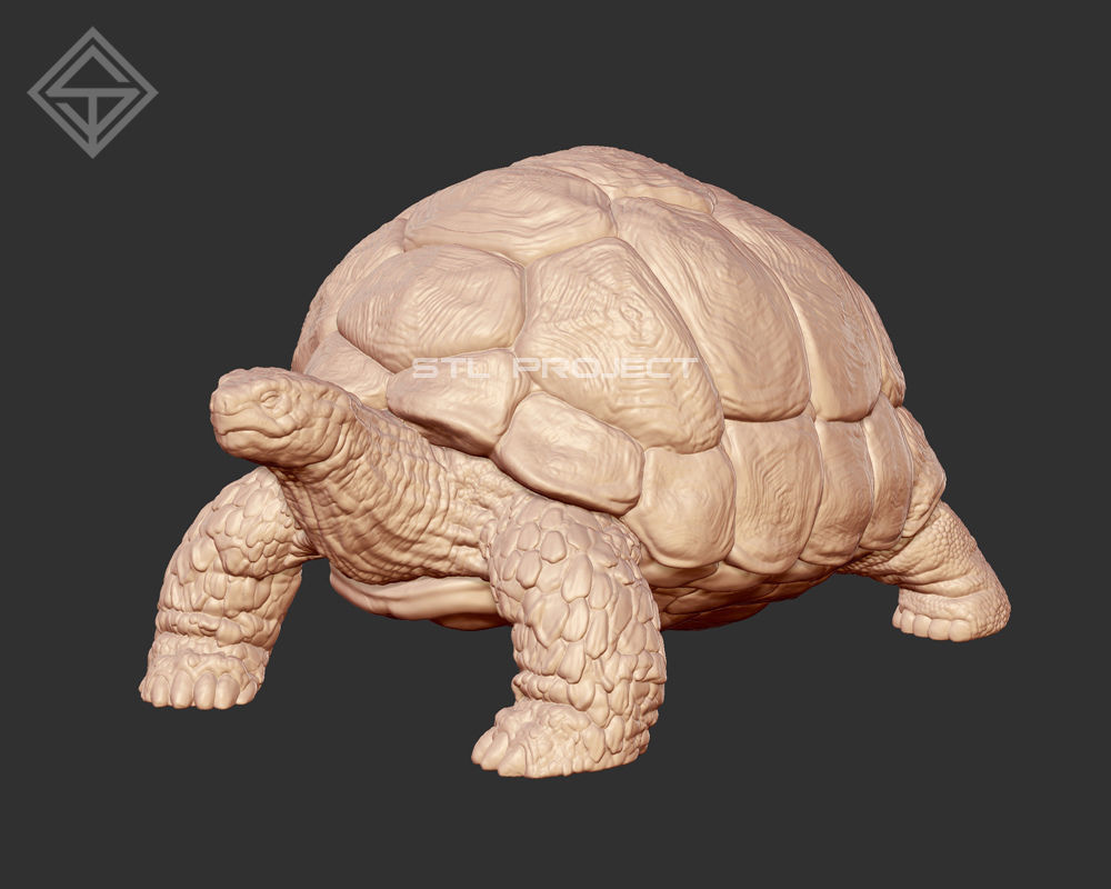 Giant Turtle 3D print model_2
